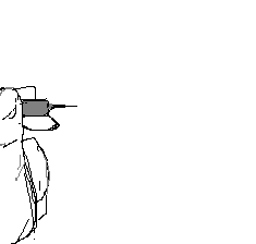(74KB)
